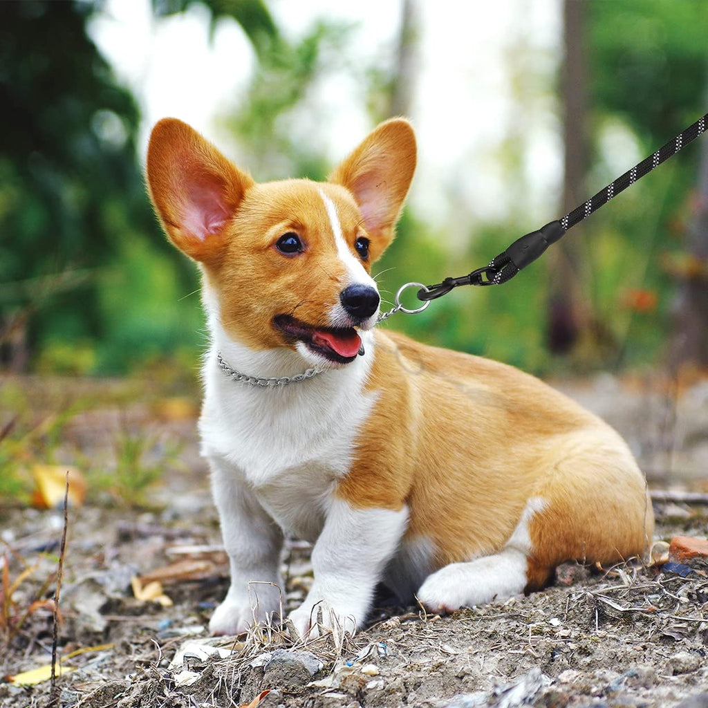 Side angle view of the two millimetre link training collar on a neutral background.