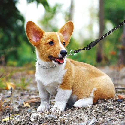 Side angle view of the two millimetre link training collar on a neutral background.