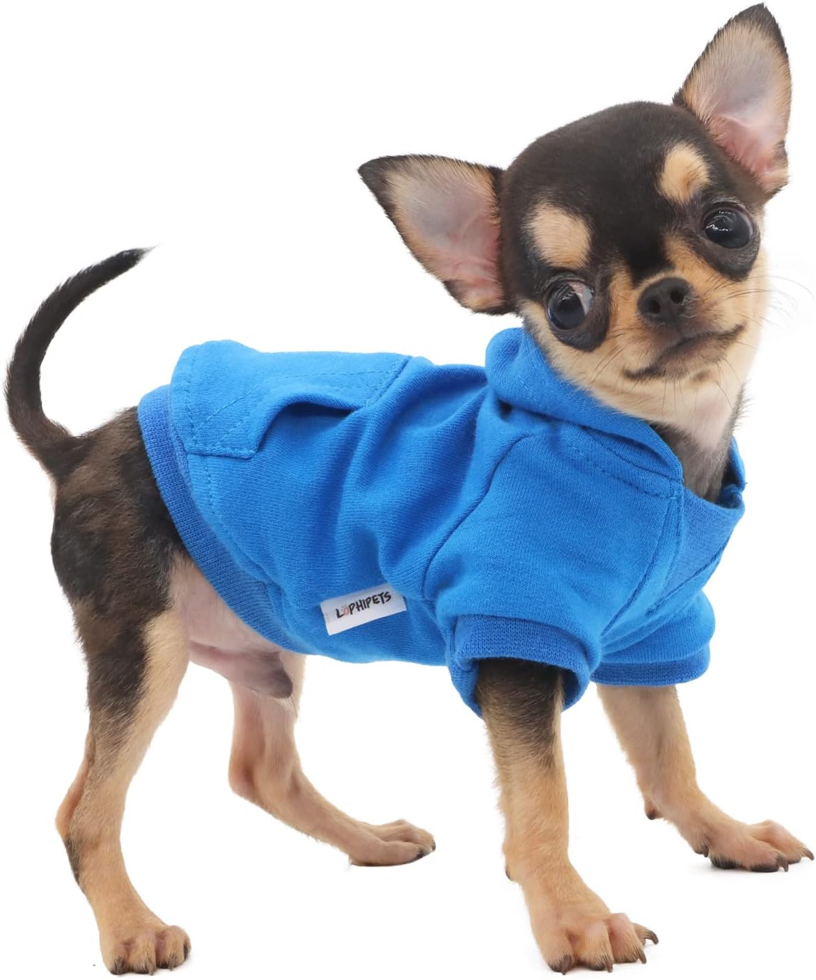 LOPHIPETS Dog Cotton Hoodies Sweatshirts for Small Dogs Chihuahua Puppy Clothes Cold Weather Coat-Cambridge Blue/XXS - Image 11