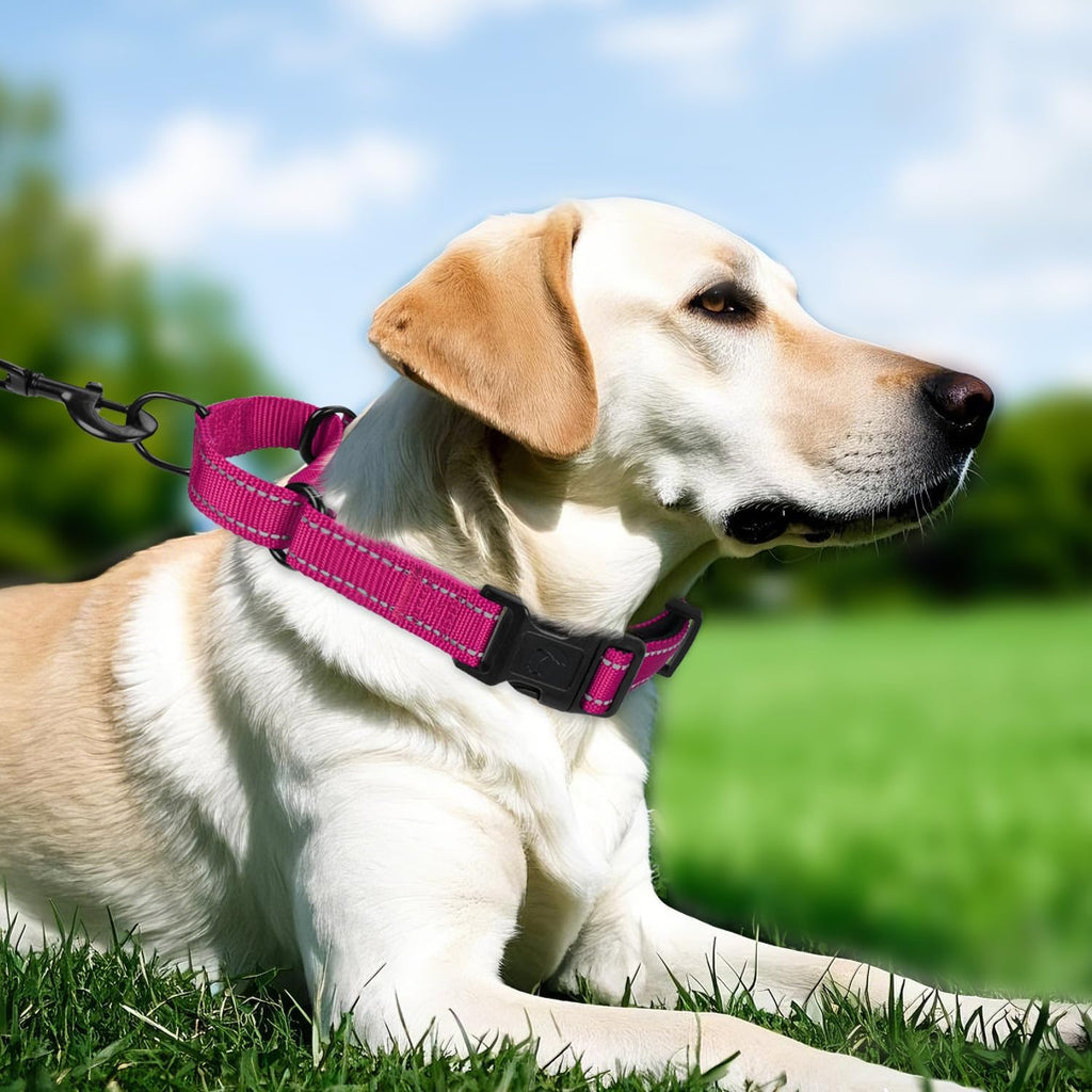 Erbine escape proof reflective nylon dog collar medium size close up.