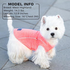 Small dog running outdoors in Kyeese sun protection shirt