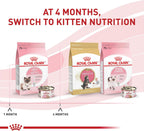 Royal Canin authentic USA imported cat food batch details