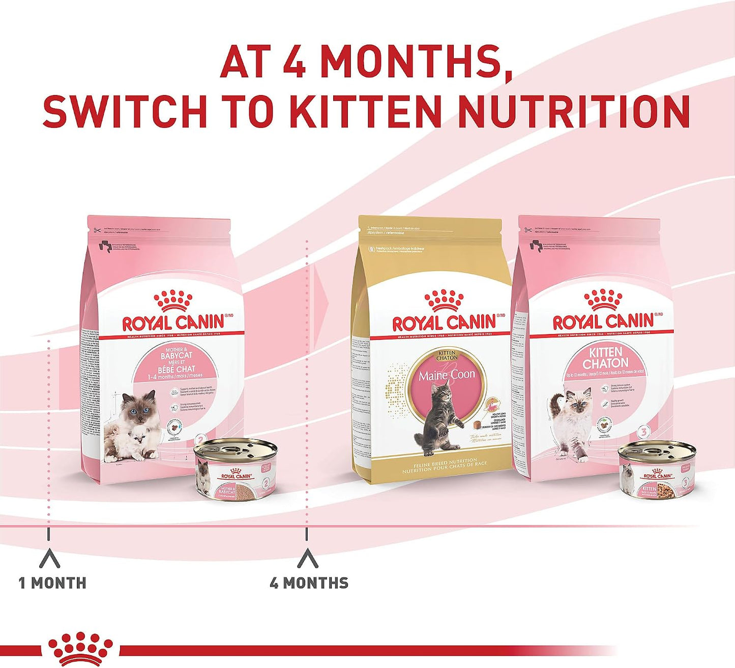 Royal Canin Mother and Babycat 12 pack cans top view