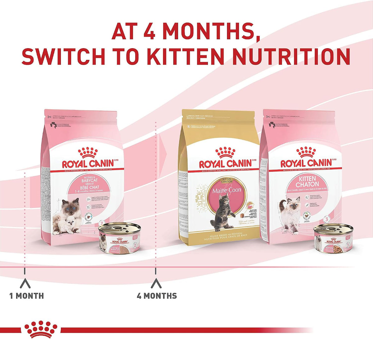 Royal Canin authentic USA imported cat food batch details