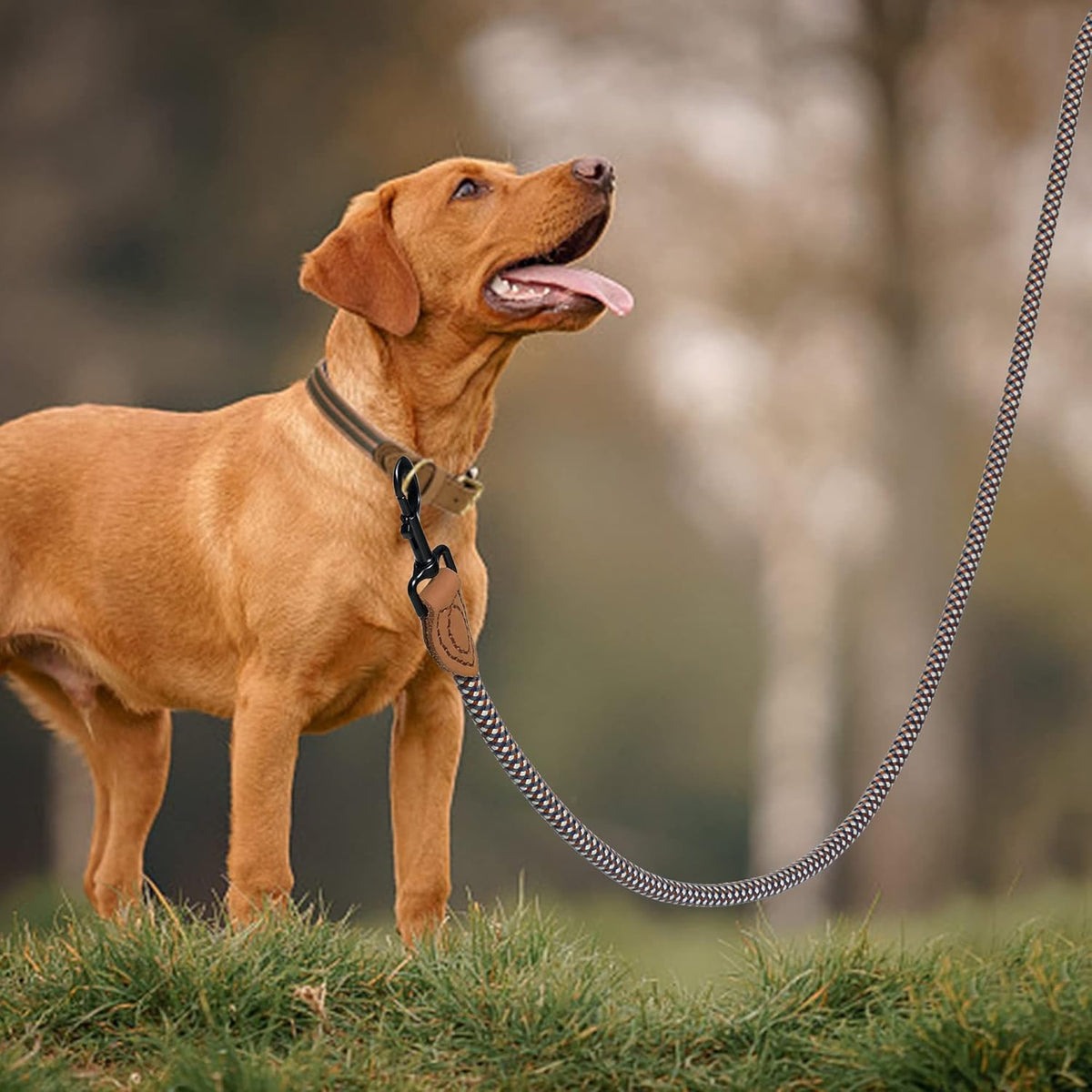 Heavy duty braided rope dog leash with genuine leather connection detailing.