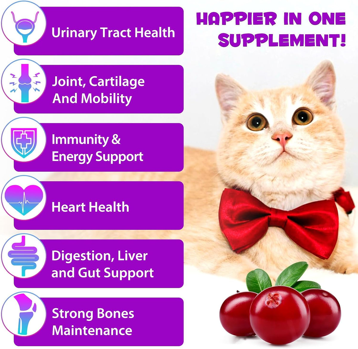 Onznoz cat vitamins liquid supplement mixed into a bowl of wet food for easy feeding.