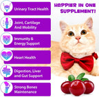 Uocasi Zodenis cat vitamins dropper bottle highlighting 15 in 1 benefits