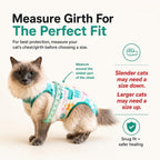Cat recovery suit showing secure back closure