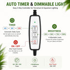 Arepk full spectrum light used for indoor succulent garden