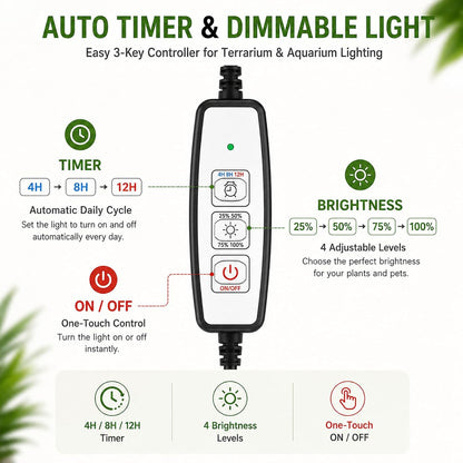 Arepk full spectrum light used for indoor succulent garden