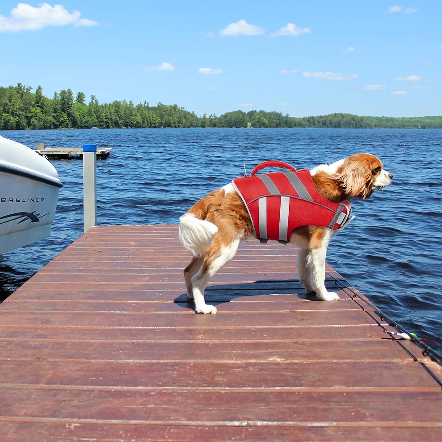 High density pearl foam padding interior of a premium pet swimming vest