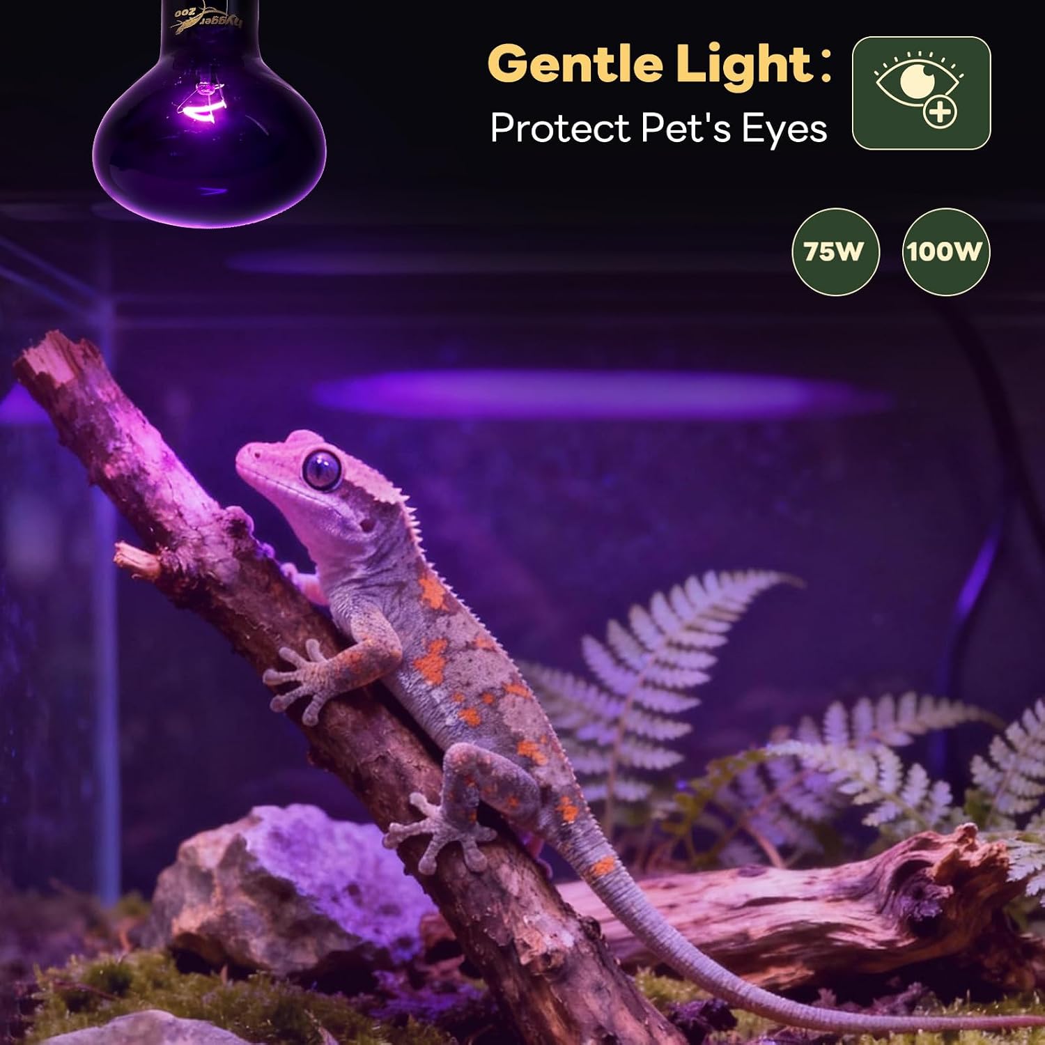 Close up view of the E26 screw base on a purple reptile heat lamp