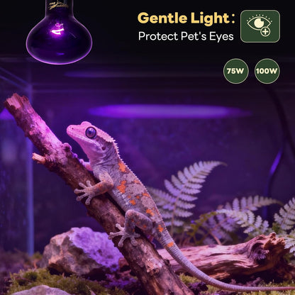 Close up view of the E26 screw base on a purple reptile heat lamp