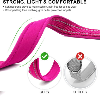 Azuza small dog collar with ID tag ring