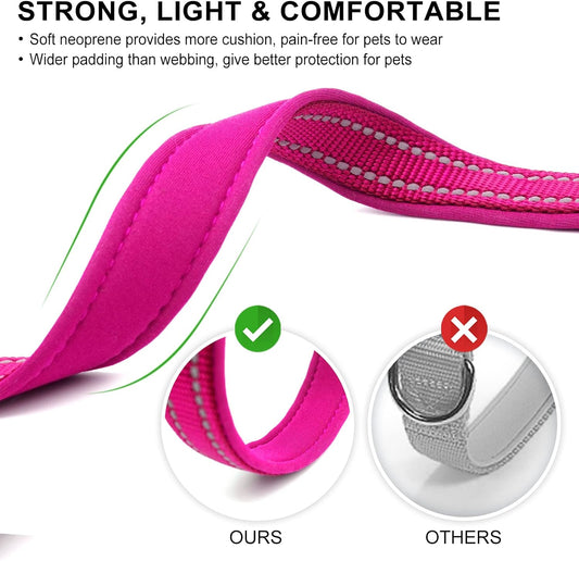 Azuza small dog collar with ID tag ring