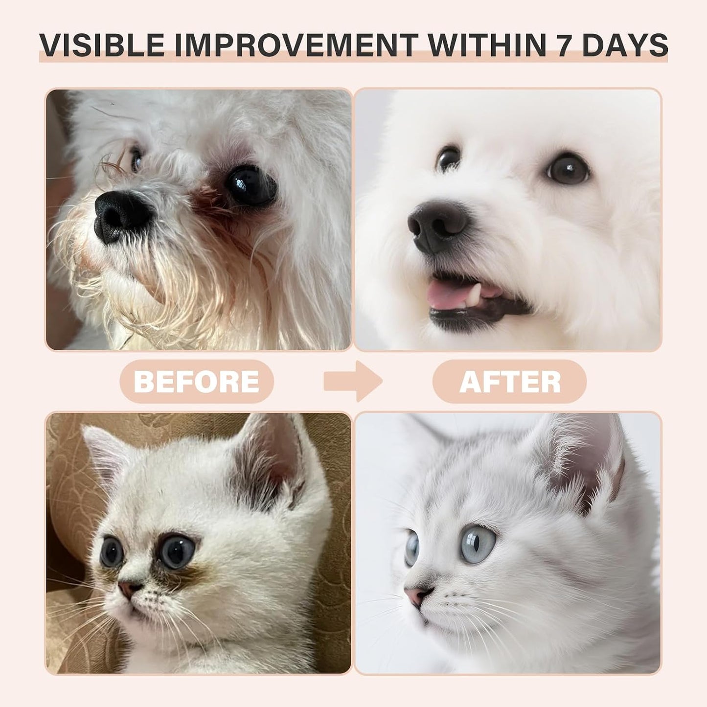Premium cat eye stain cleaner balm with application brush packaging
