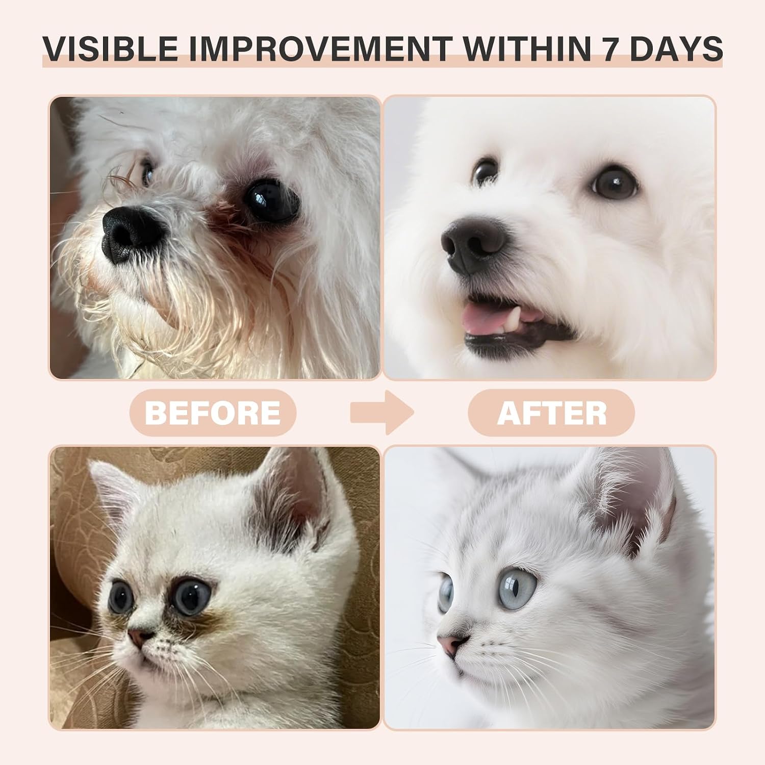 Premium cat eye stain cleaner balm with application brush packaging