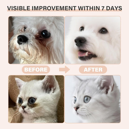 Premium cat eye stain cleaner balm with application brush packaging