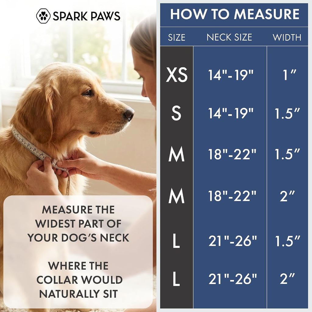 Close up of Spark Paws collar metal buckle and hardware