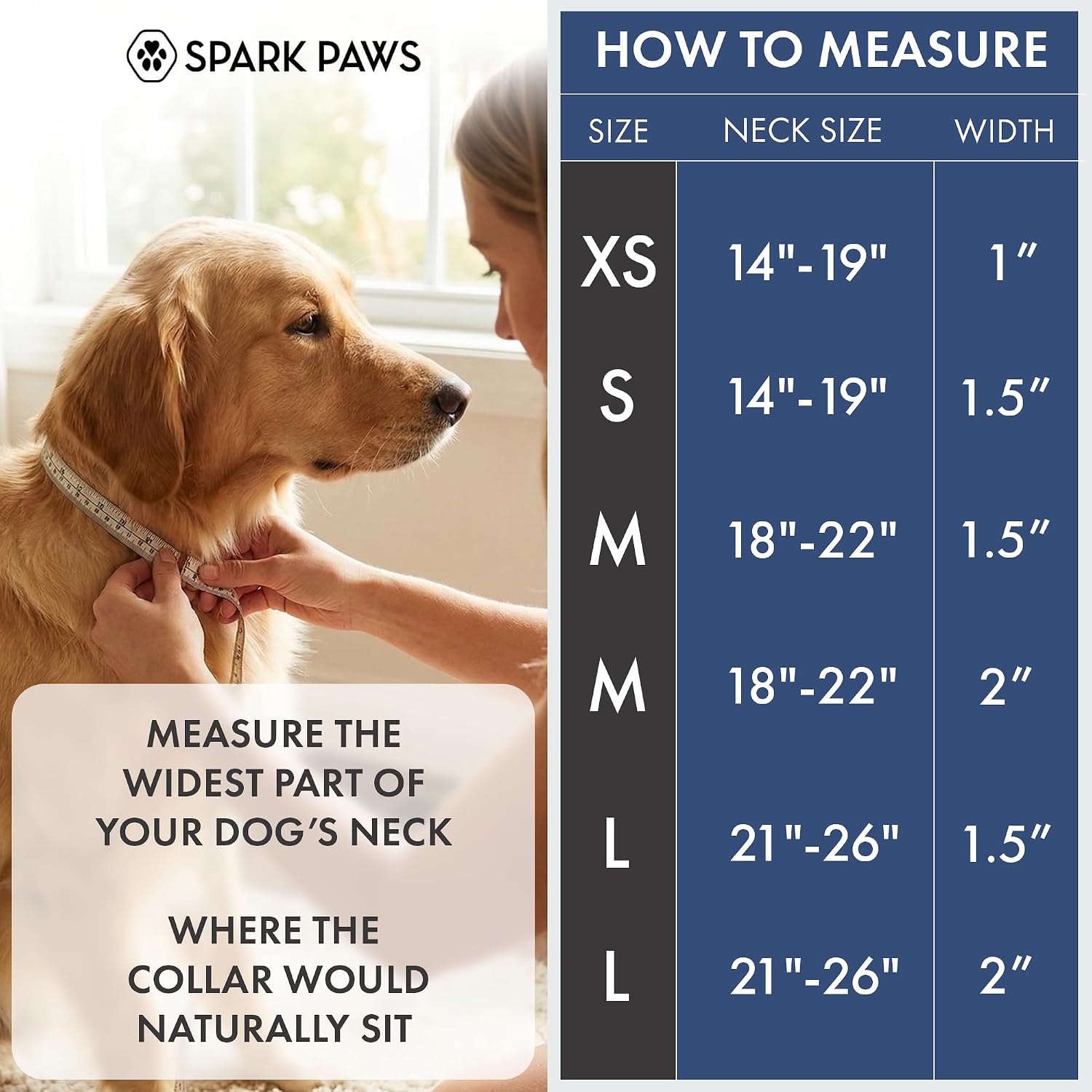 Close up of Spark Paws collar metal buckle and hardware