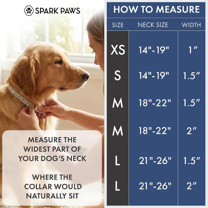 Close up of Spark Paws collar metal buckle and hardware
