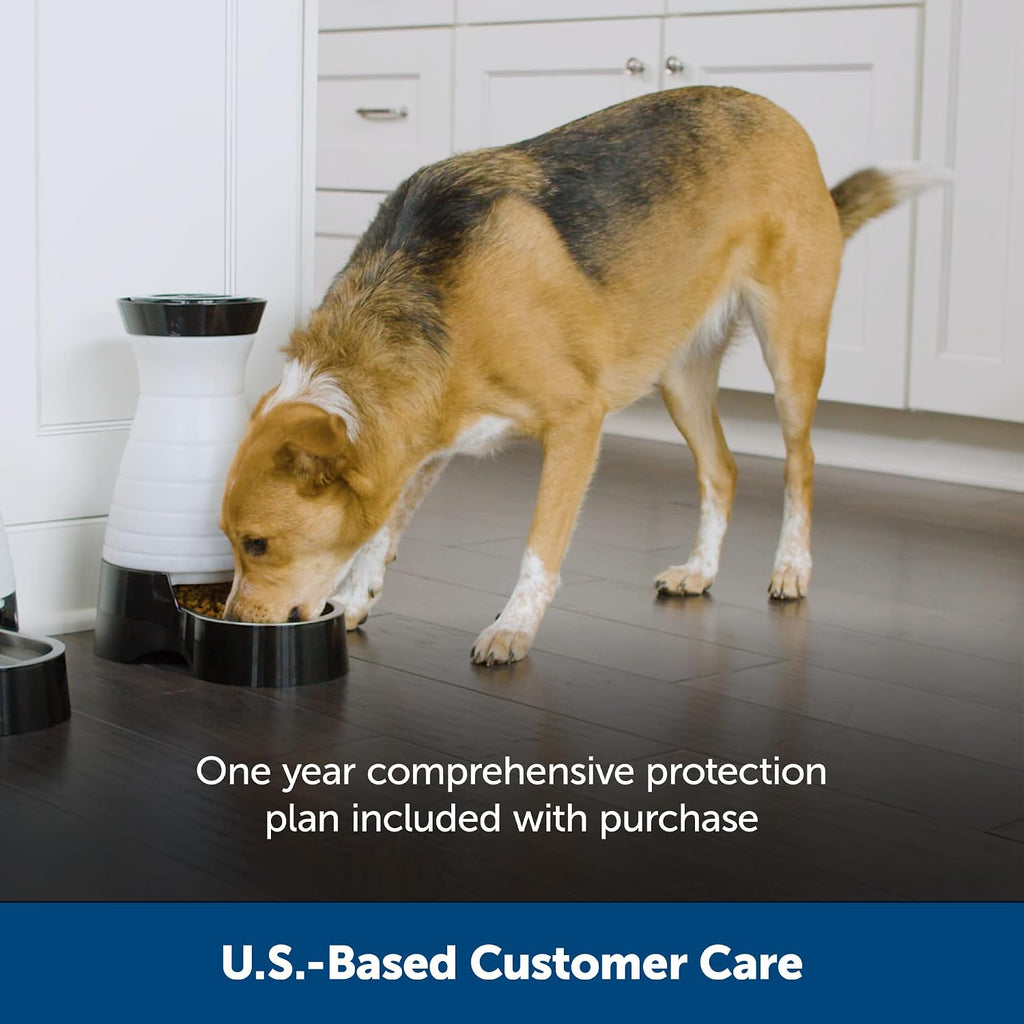 Close up of PetSafe stainless steel bowl in food station