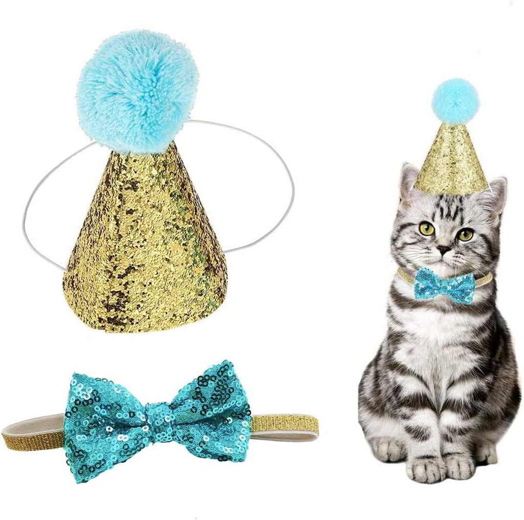 Arogheiz light blue pet jazz hat and bow tie set front view