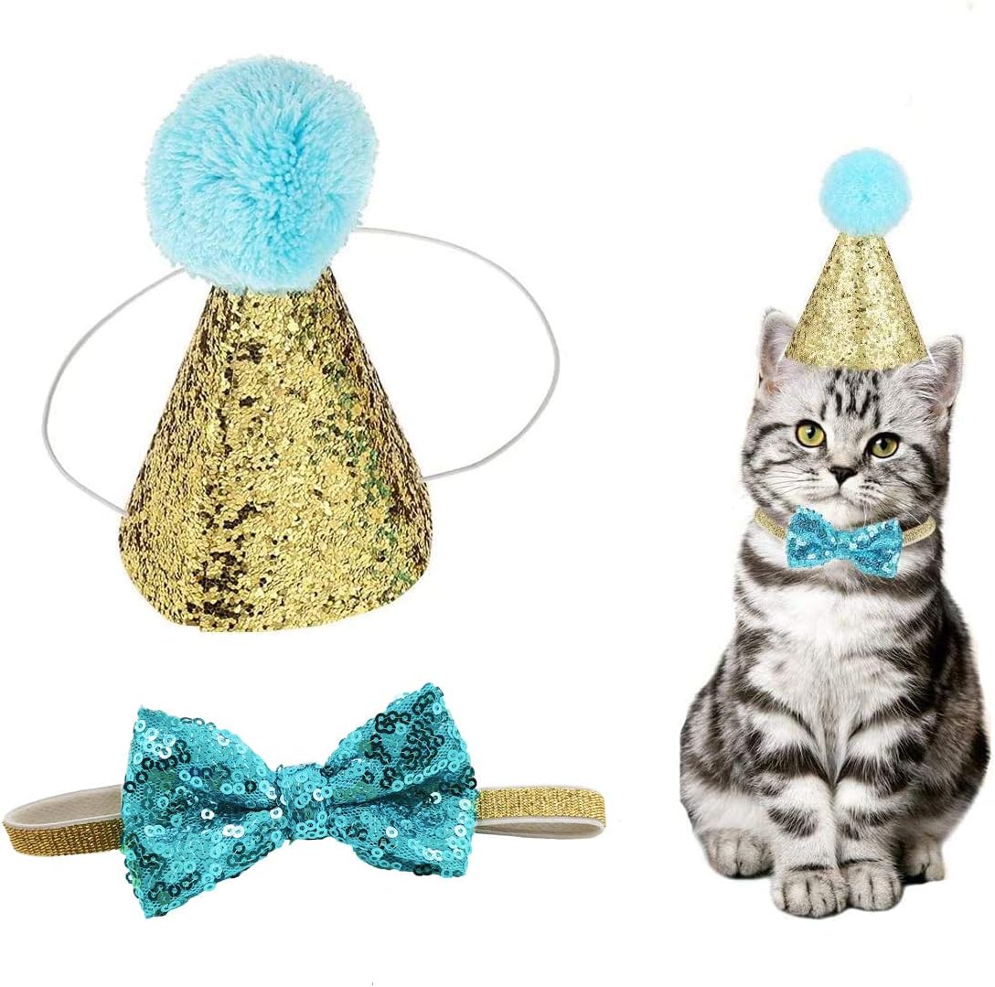 Arogheiz light blue pet jazz hat and bow tie set front view