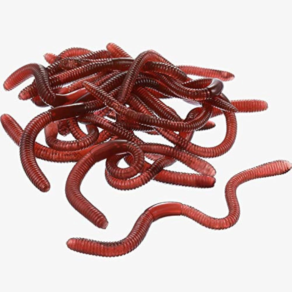 Gejoy 16 Pieces Fake Earthworms front view package containing realistic soft plastic prank toys.