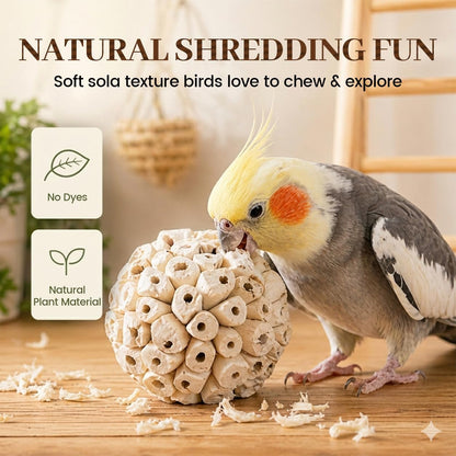 Zephyriel parrot shredding toy sola balls hanging option inside a bird cage for enhanced enrichment