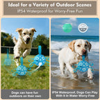 Qraxond dog toy showing USB charging port and power switch