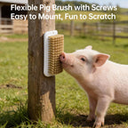 Velqua 2-in-1 pet scratcher brush set for boredom reduction