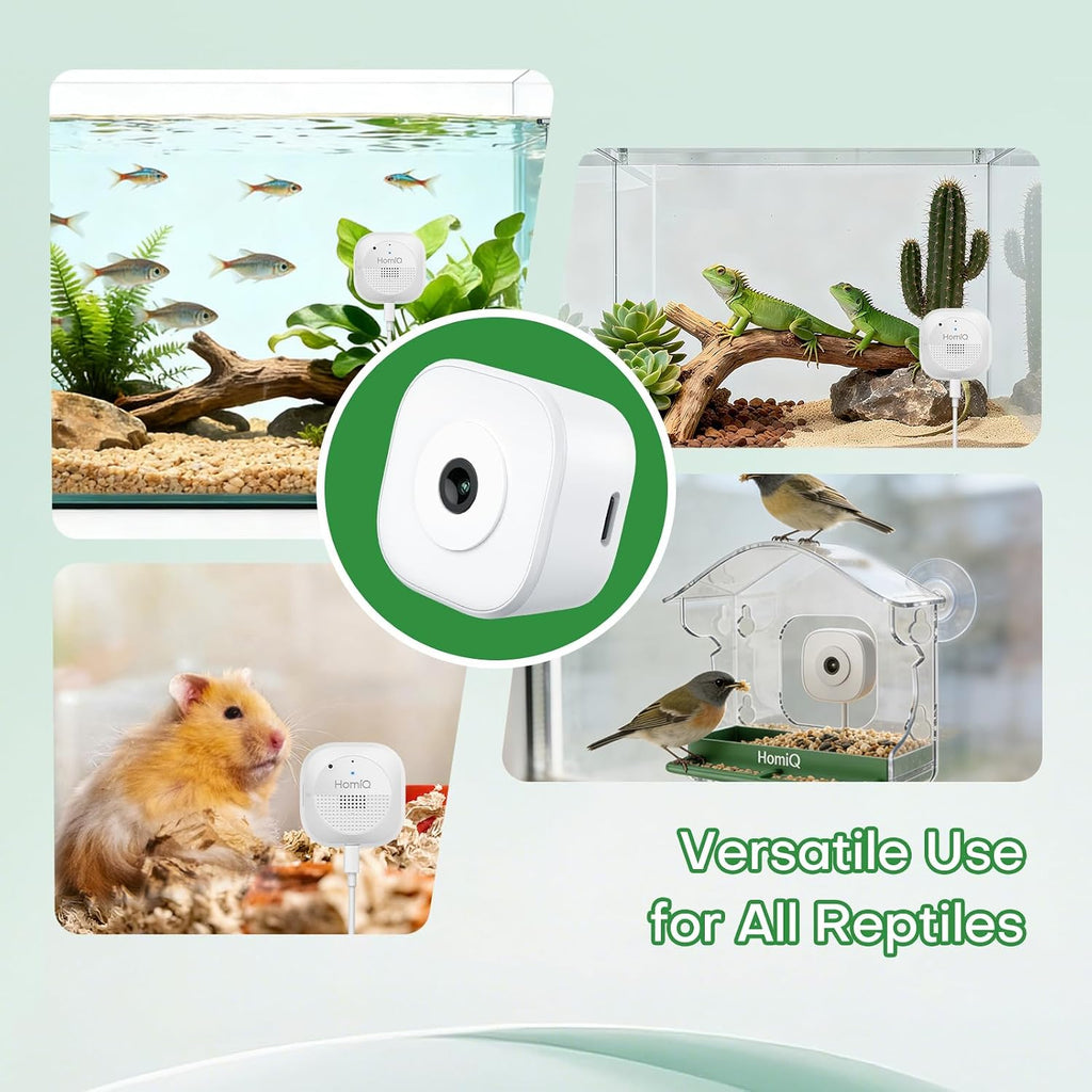 HomiQ Life camera streaming to smartphone app