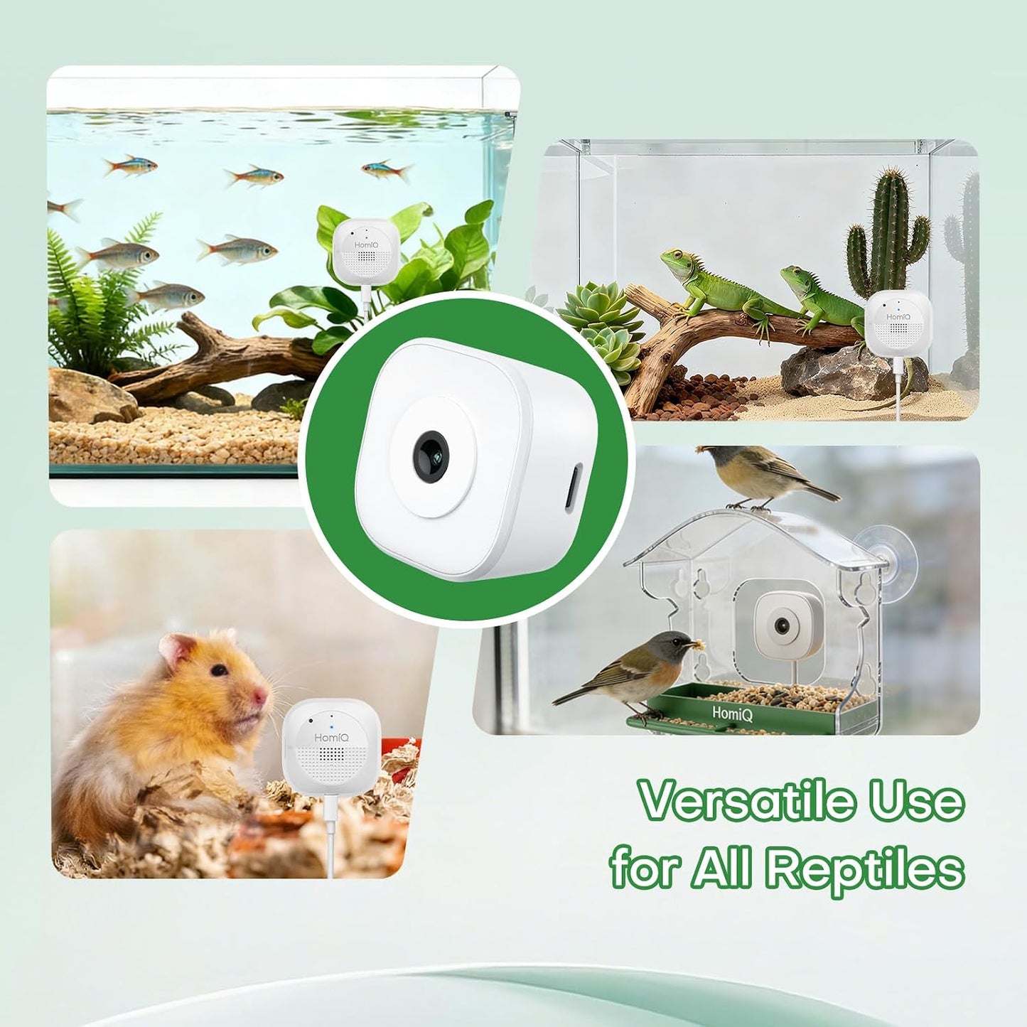 HomiQ Life camera streaming to smartphone app