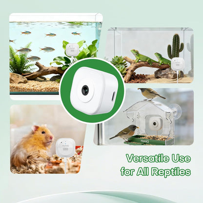 HomiQ Life camera streaming to smartphone app