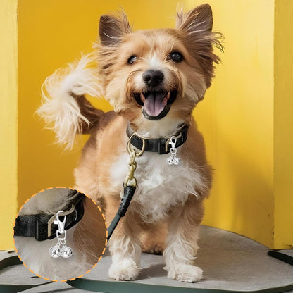 JJUNW accessory set for pet safety and easy location.