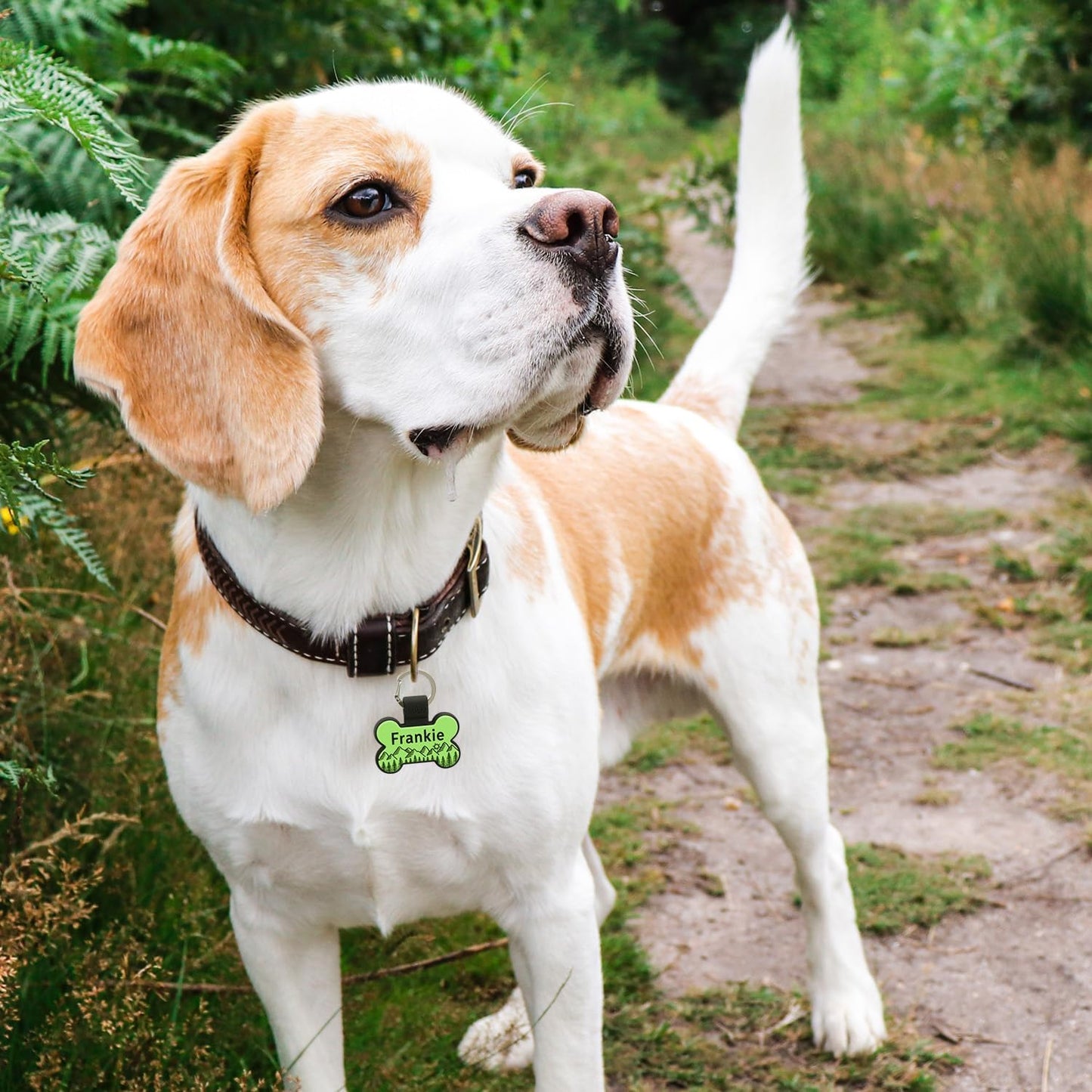 Custom bone shaped silent pet identity tag with pink floral pattern design.