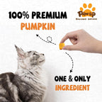 PAWUP Freeze Dried Pumpkin Treats for Dogs & Cats - Single Ingredient High Fiber Dog Food Topper for Digestion & Gut Health, Natural Pet Snacks for Sensitive Stomachs, 1.58 oz - Image 2