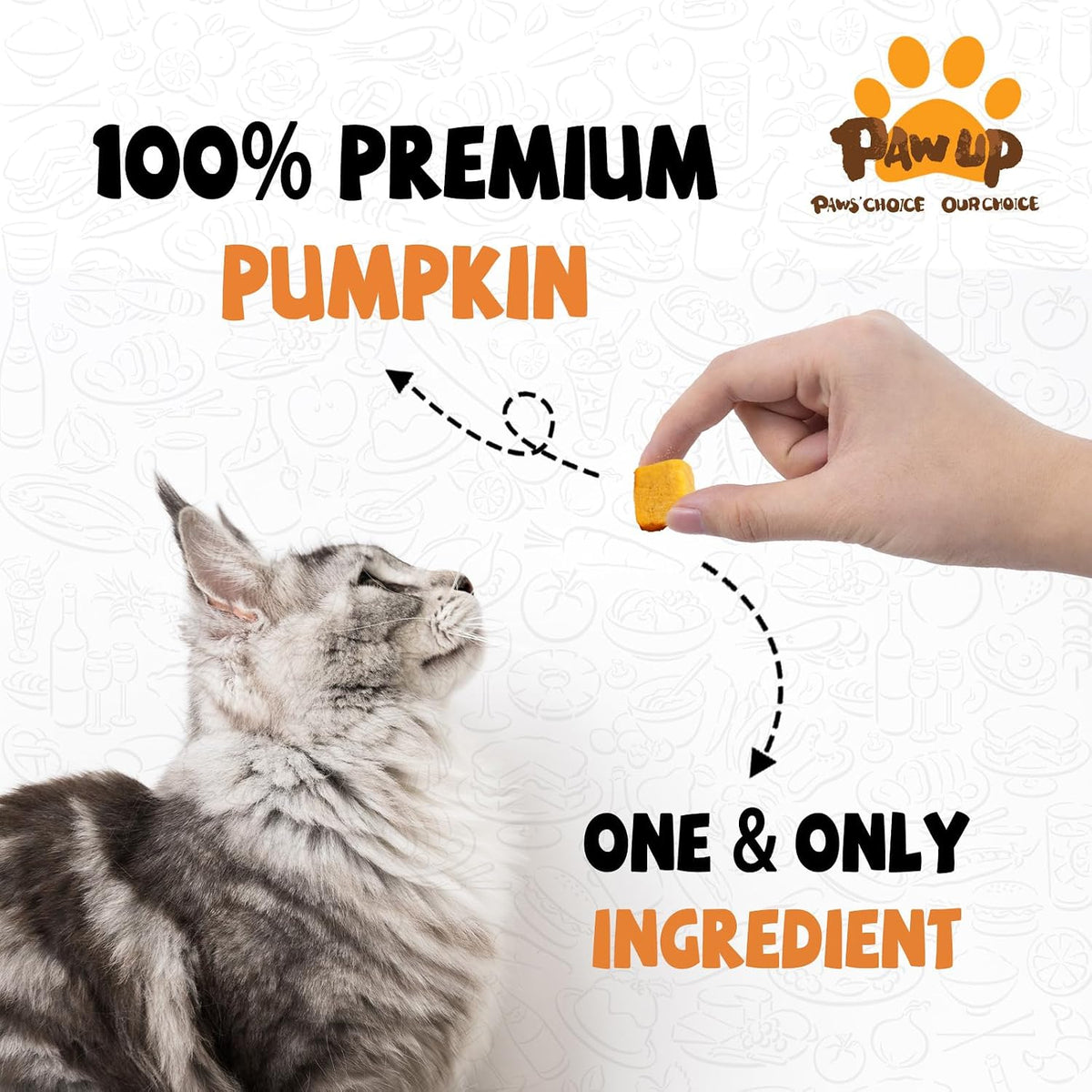 PAWUP Freeze Dried Pumpkin Treats for Dogs & Cats - Single Ingredient High Fiber Dog Food Topper for Digestion & Gut Health, Natural Pet Snacks for Sensitive Stomachs, 1.58 oz - Image 2