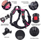 Side view of PoyPet reflective dog vest on a dog
