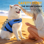 Queenmore pet water safety jacket worn by a small dog near a swimming pool
