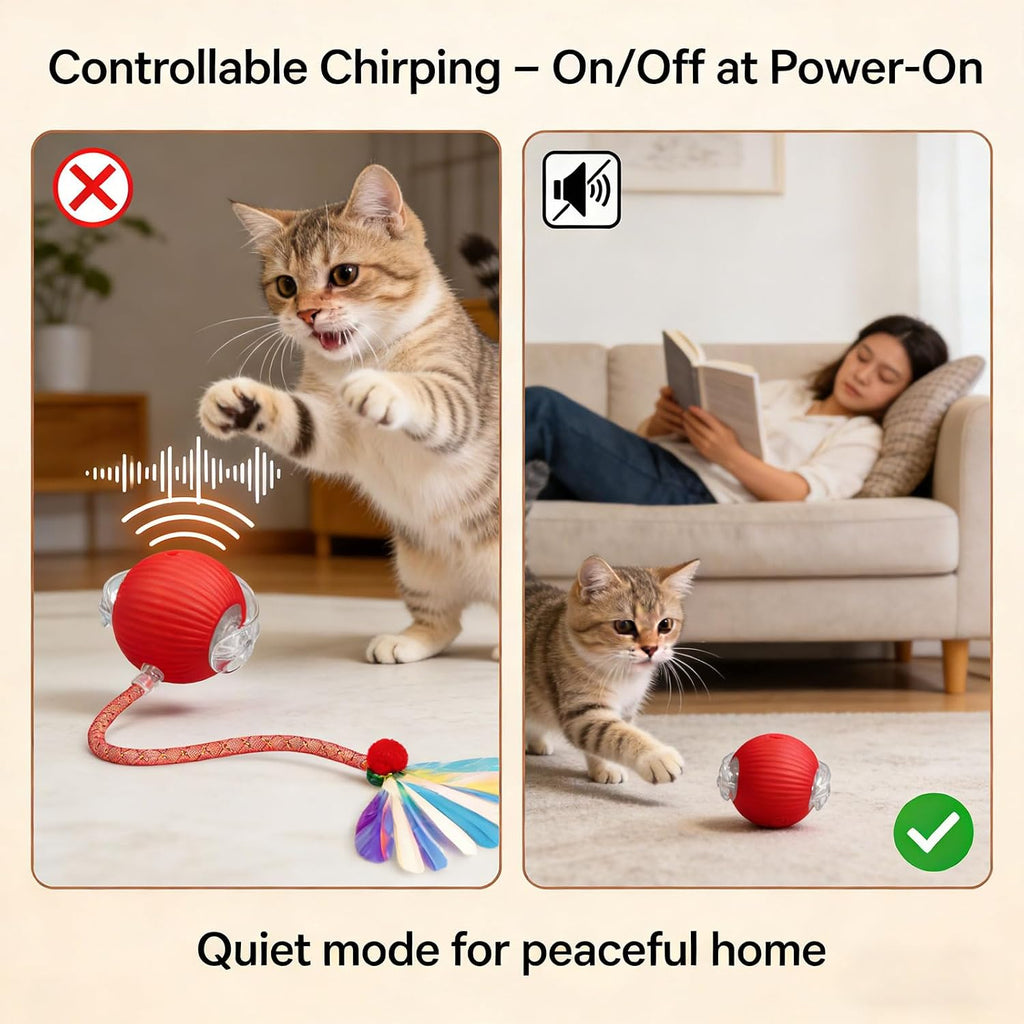 USB rechargeable cat chasing toy ball on hardwood floor