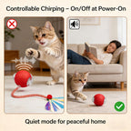 USB rechargeable cat chasing toy ball on hardwood floor