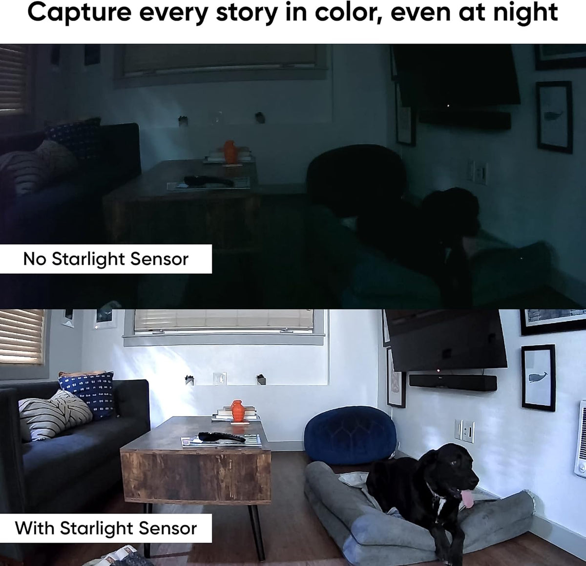 WYZE Cam Pan v2 2-pack premium home monitoring system displaying two smart devices side by side