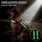 Ten interchangeable glow in the dark Velcro dog patches included with the MOOGROU pet vest set