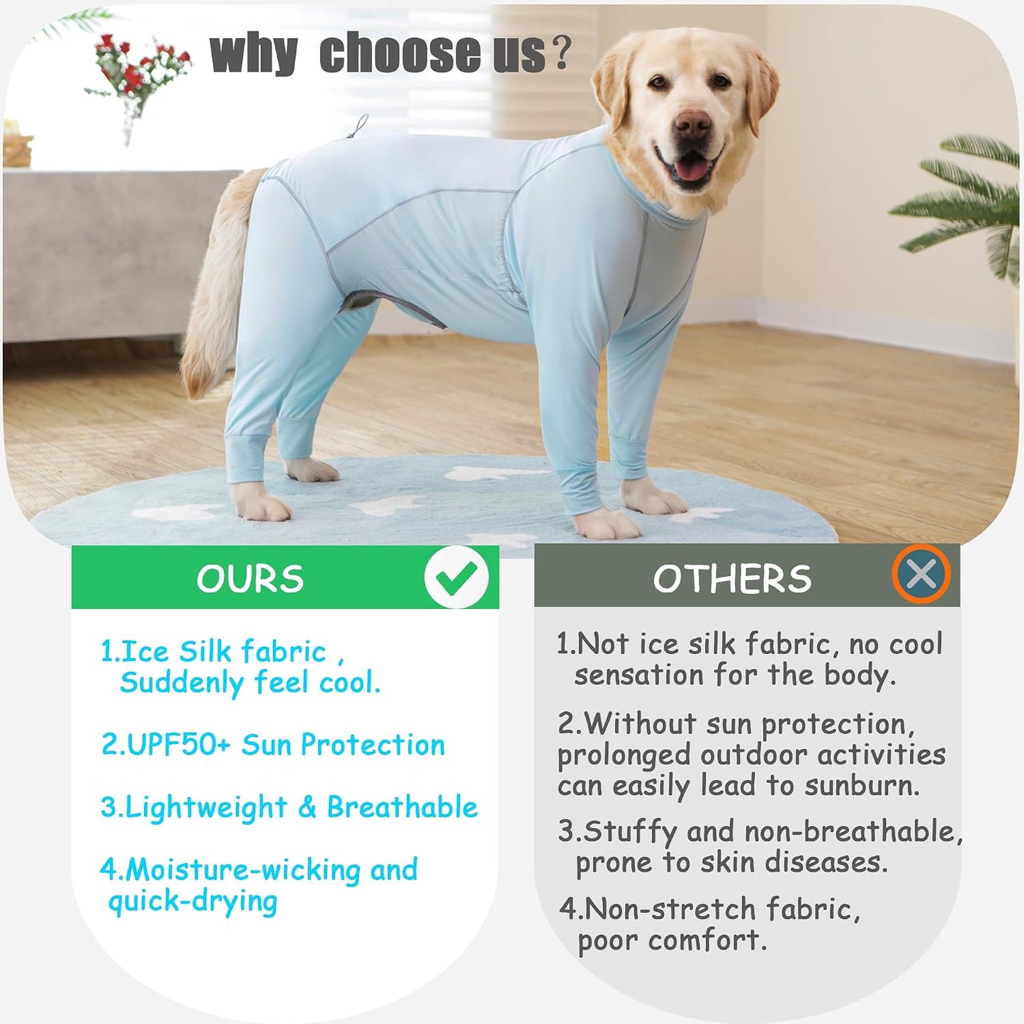 Dog wearing cooling jumpsuit during outdoor hike