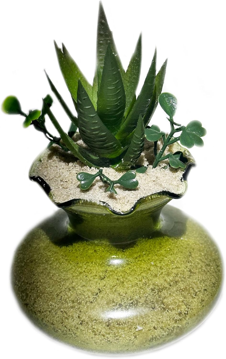 Natural dry beach sand substrate inside an indoor plant terrarium setup