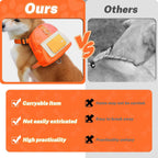 Bagentry adjustable dog harness with matching orange leash attachment close up