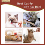 Set of natural wooden silvervine sticks for cat grooming