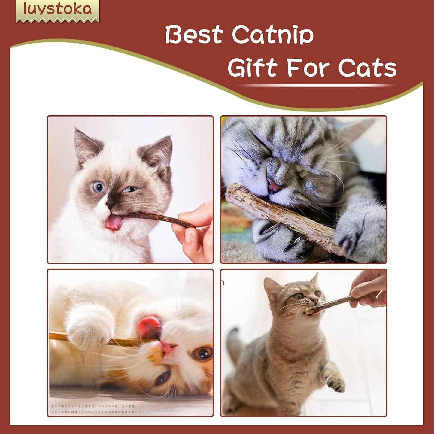 Set of natural wooden silvervine sticks for cat grooming